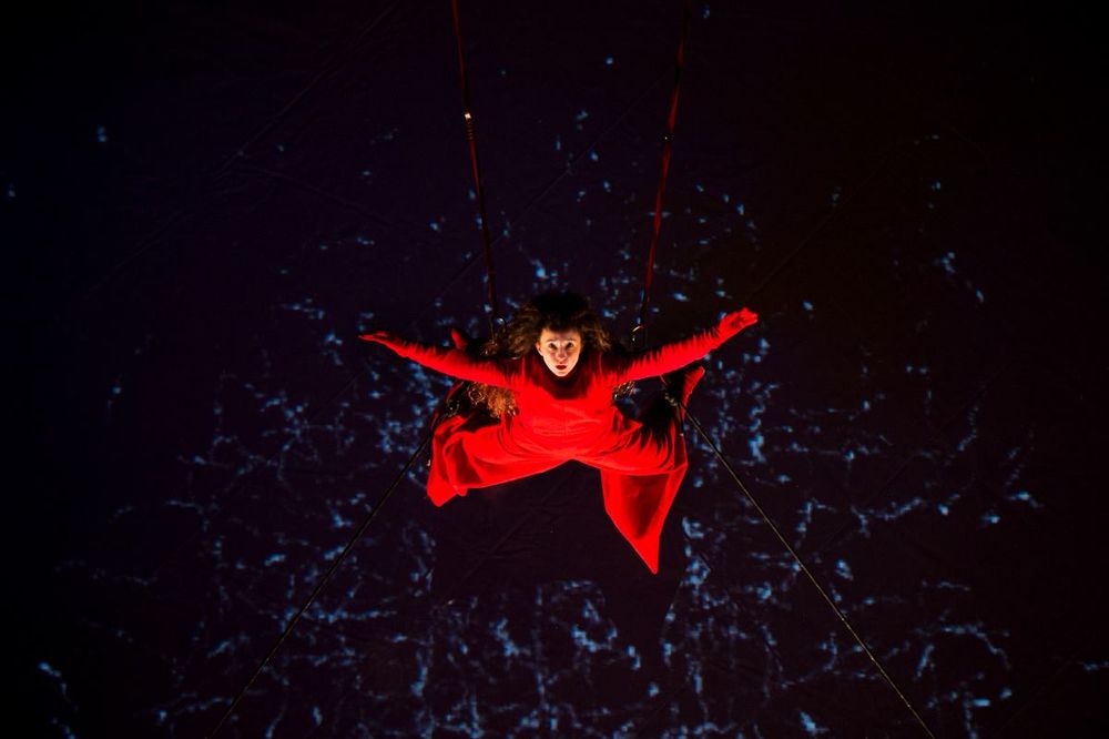 The Palms/Ladoni - The Performance